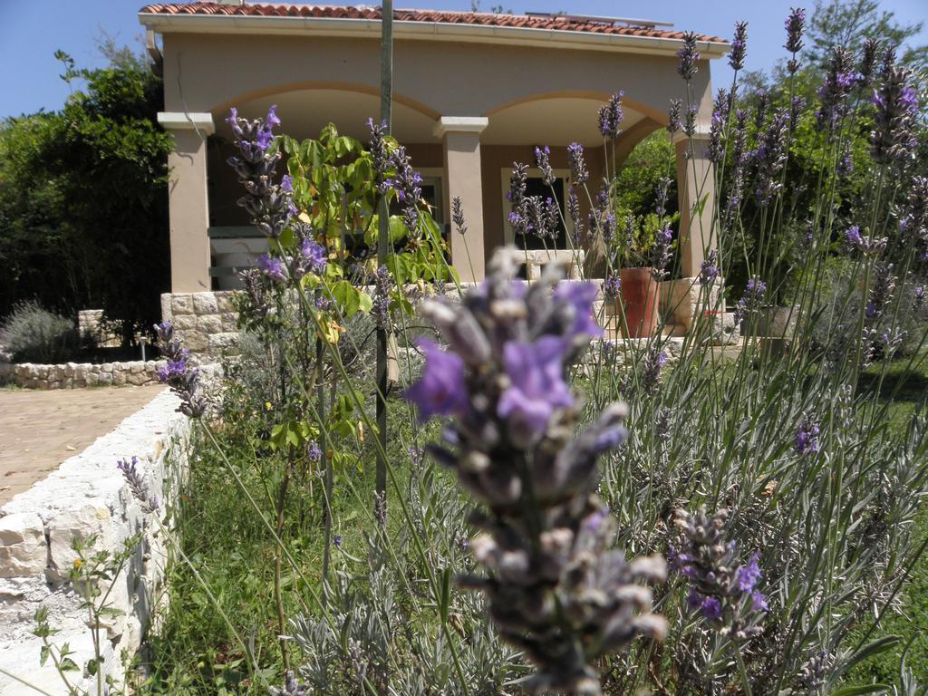 Holiday Home Borna Nin Room photo